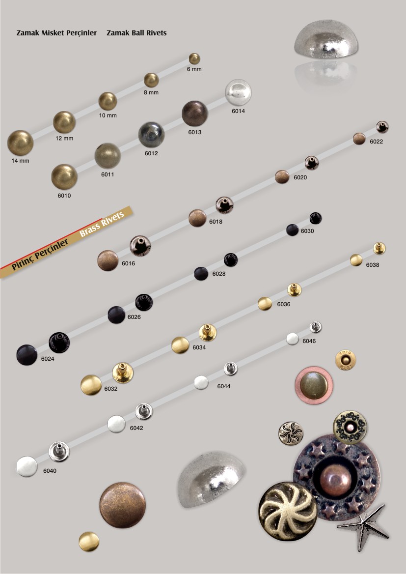 pirinc_rivet2